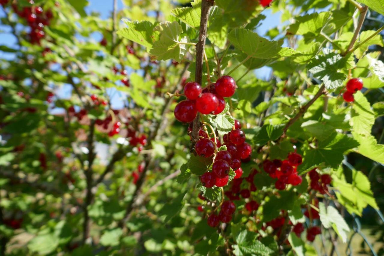 באד לאוטרברג Idas Garten מראה חיצוני תמונה