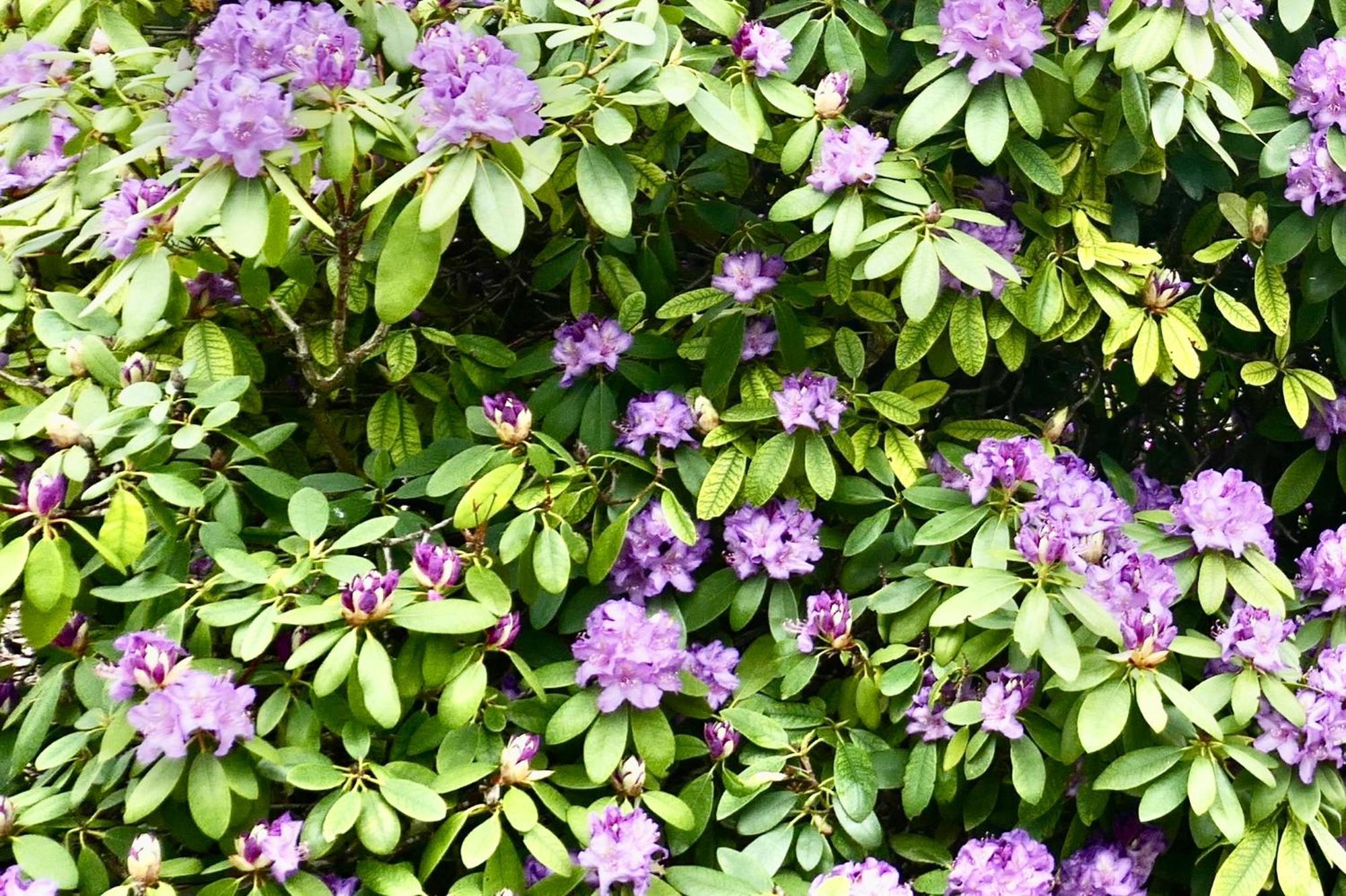 באד לאוטרברג Idas Garten מראה חיצוני תמונה
